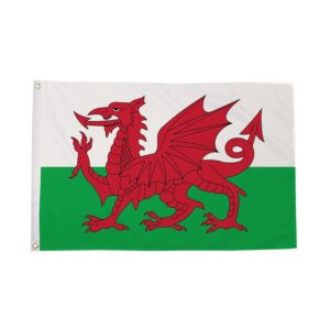 Whales 5ft X 3ft Welsh National Flag (Pack of 100 –£2.00 Incl. VAT each)