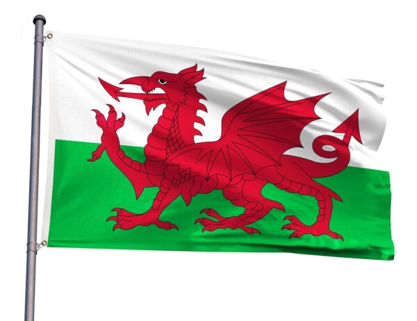 Whales 5ft X 3ft Welsh National Flag (Pack of 100 –£2.00 Incl. VAT each) - Image 3